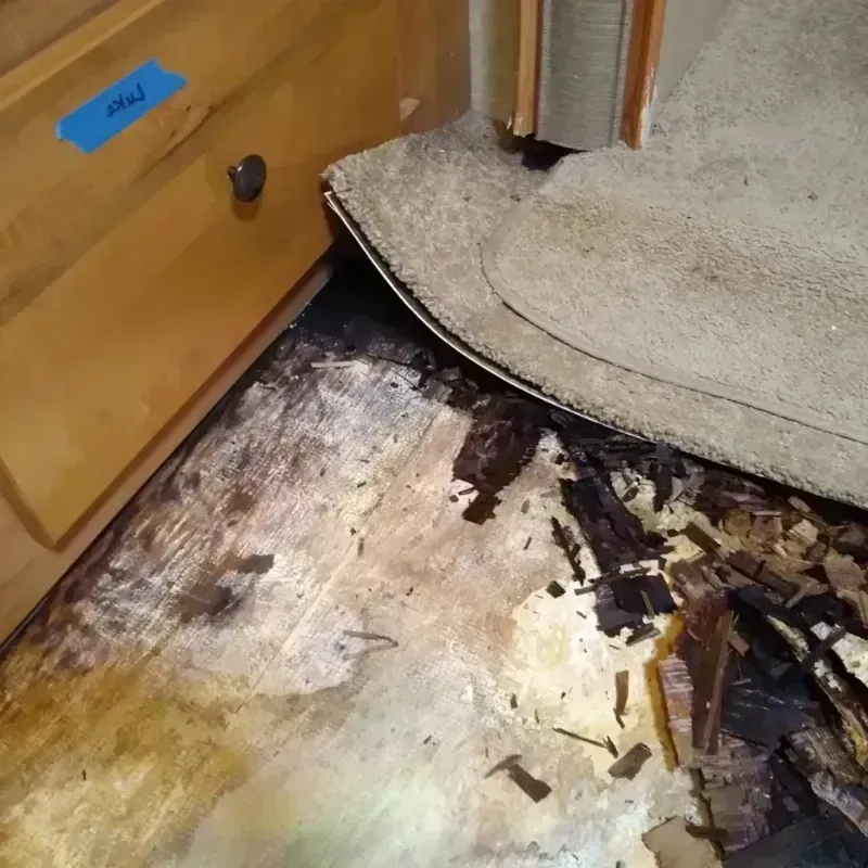 Best Wood Floor Water Damage Service in Green Lake, WI